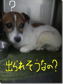 今日のカズオ080819　1