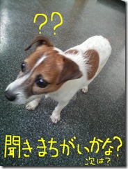 今日カズ080820　4