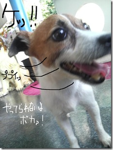今日カズ080820　5