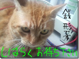 今日カズ080822　4