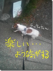 今日カズ080822　6