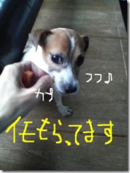今日カズ080823　1