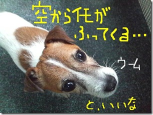 今日カズ080823　4