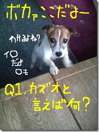 今日カズ080823　5