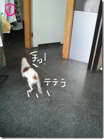 今日カズ080823　6