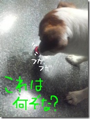 今日カズ080824　1