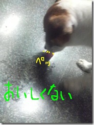 今日カズ080824　3