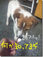 今日カズ080824　4