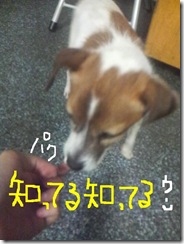 今日カズ080824　5