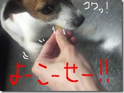 今日カズ080824　6