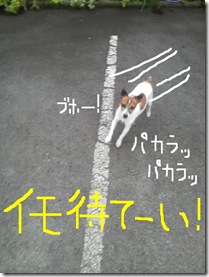 今日カズ080826　1