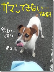 今日カズ080826　4