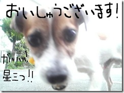 今日カズ080826　5