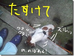 今日カズ080827　3