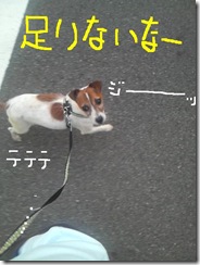 今日カズ080827　4