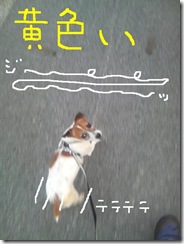 今日カズ080827　9
