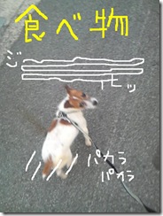 今日カズ080827　10