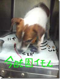 今日カズ080827　11