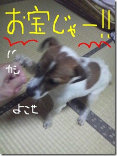 今日カズ080829　3