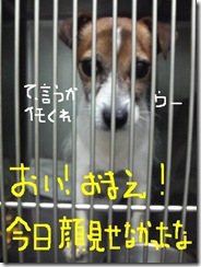 今日カズ080830　1