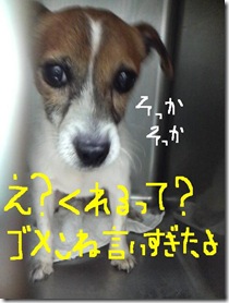 今日カズ080830　2
