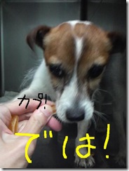 今日カズ080830　3