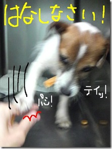 今日カズ080830　4