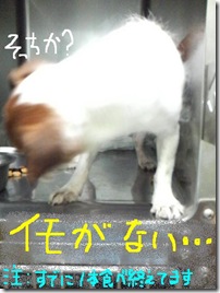 今日カズ080830　6