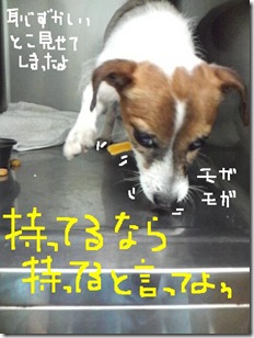 今日カズ080830　7