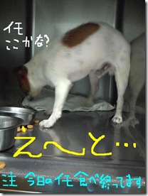 今日カズ080830　11