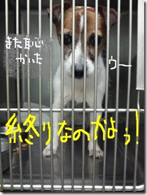 今日カズ080830　12