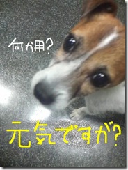 今日カズ080831　1