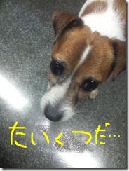今日カズ080831　2