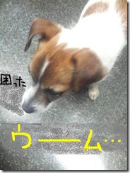 今日カズ080831　3