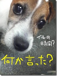 今日カズ080831　4