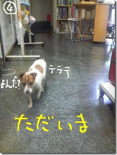 今日カズ080831　8