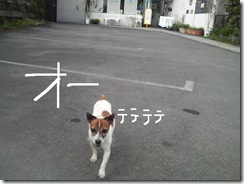今日カズ080902　3