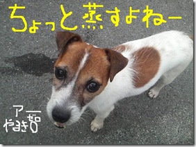 今日カズ080902　5