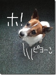今日カズ080902　7
