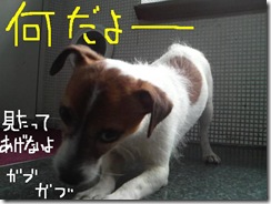 今日カズ080902　8