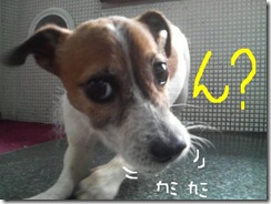 今日カズ080902　9