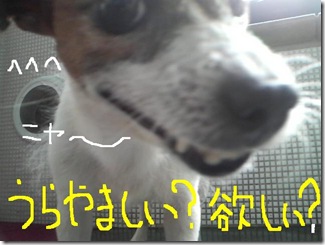 今日カズ080902　10