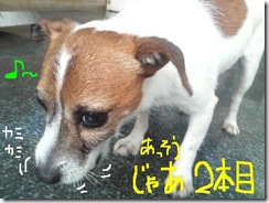 今日カズ080902　11