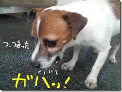 今日カズ080902　12