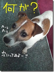 今日カズ080902　13