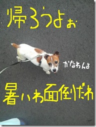 今日カズ080902　14