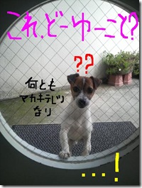 今日カズ080903　2