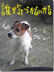 今日カズ080903　4
