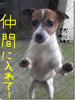 今日カズ080903　3