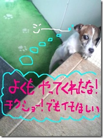 今日カズ080903　5